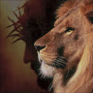 Meet your Posher, Ginger